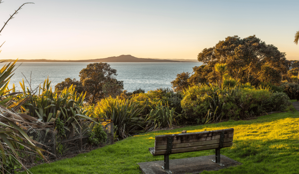 12 Of The Best Free Things To Do In Auckland This Season