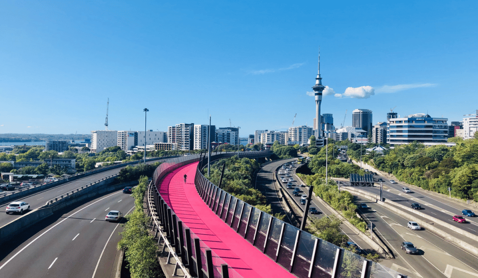Auckland Has Been Ranked The World’s Fastest City To Go Green