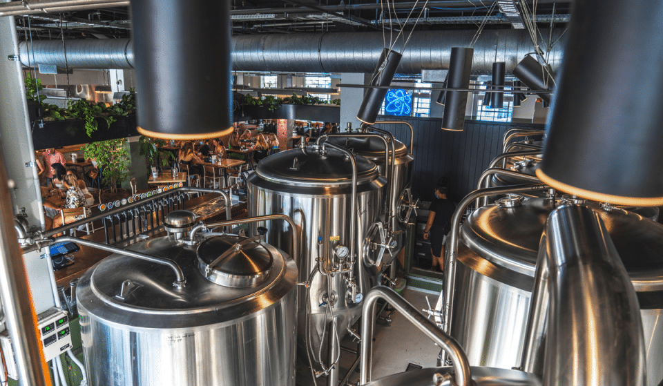 Drink Original IPA Beer At This New Brewery At Auckland’s Favourite Rooftop