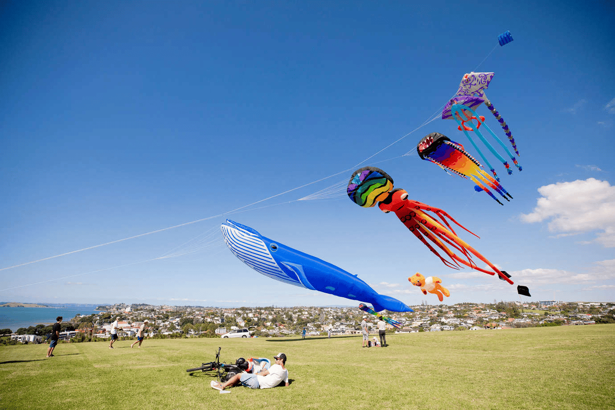 Matariki kite flying Auckland