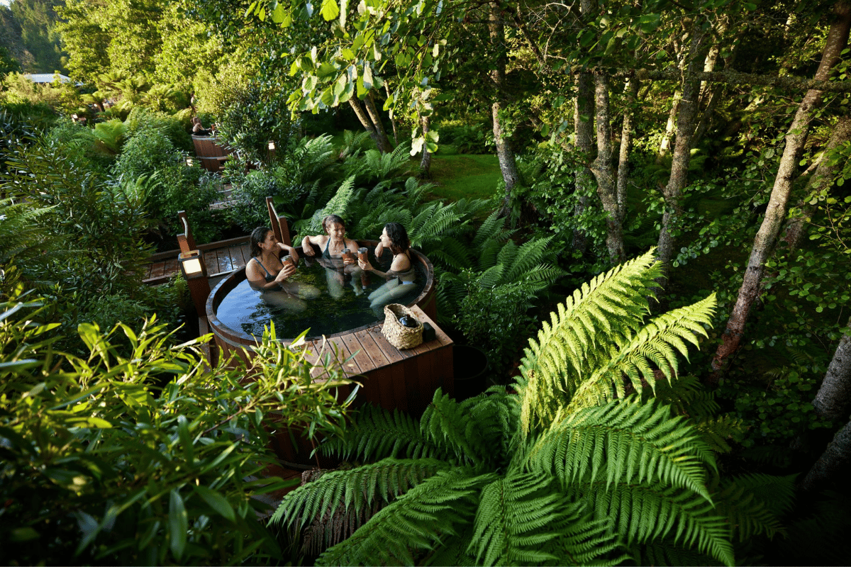 Rotorua Hidden Forest Bathing